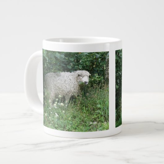 Kute White Fluffy Sheep Eating Mok (Links)