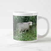 Kute White Fluffy Sheep Eating Mok (Rechts)