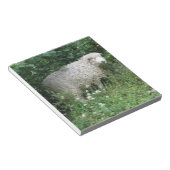 Kute White Fluffy Sheep Eating Notepad Notitieblok (Schuin)