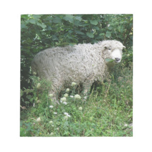 Kute White Fluffy Sheep Eating Notepad Notitieblok