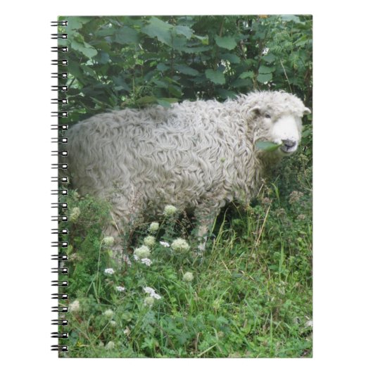 Kute White Fluffy Sheep Eating Notitieboek (Voorkant)
