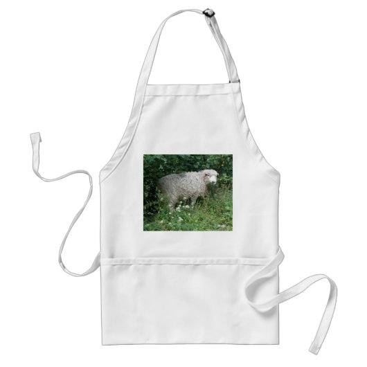 Kute White Fluffy Sheep Eating Schort (Voorkant)