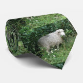 Kute White Fluffy Sheep Eating Stropdas (Opgerold)