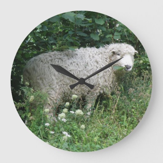 Kute White Fluffy Sheep Eating Wall Clock Grote Klok (Voorkant)