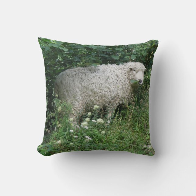Kute White Fluffy Sheep Eving Pillow Kussen (Voorkant)