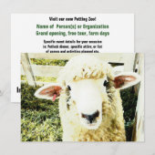 Kute White Fluffy Sheep Kaart (Voorkant / Achterkant)