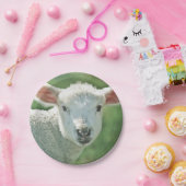 Kute white lamb portret papieren bordje (Feest)