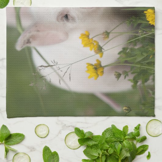 Kute White Piglet in Field of Yellow Flowers Theedoek (Gevouwen)