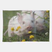 Kute White Piglet in Field of Yellow Flowers Theedoek (Horizontaal)