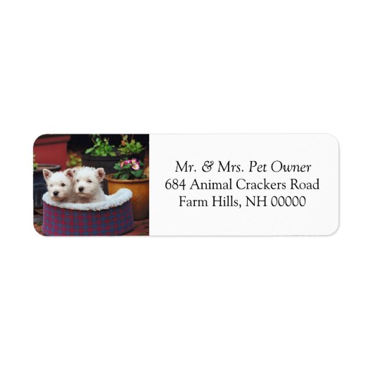 Kute White Puppies Return Address Mail Stickers (Voorkant)