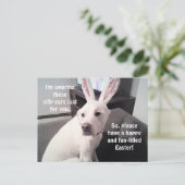 Kute White Puppy Dog die paasbroodoorten draagt Briefkaart (Staand voorkant)