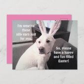 Kute White Puppy Dog die paasbroodoorten draagt Briefkaart (Voorkant / Achterkant)