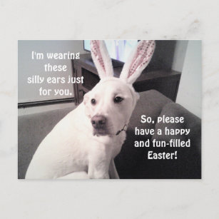 Kute White Puppy Dog die paasbroodoorten draagt Briefkaart