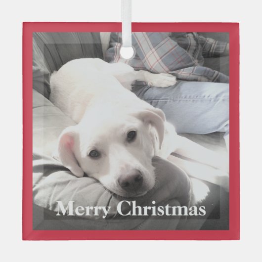 Kute White Puppy Dog met papa op Couch Red Glas Ornament (Voorkant)