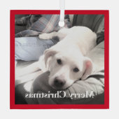 Kute White Puppy Dog met papa op Couch Red Glas Ornament (Achterkant)