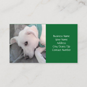 Kute white Puppy Dog Wearing Green Scarf Business Visitekaartje