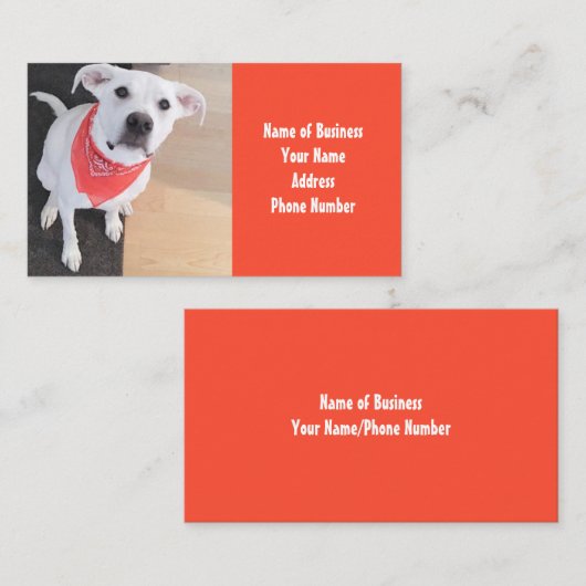Kute White Puppy Dog Wearing Scarf Sinaasappel Visitekaartje (Voorkant / Achterkant)