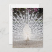 Kute  witte vrek dansende partij uitnodiging briefkaart (Voorkant / Achterkant)