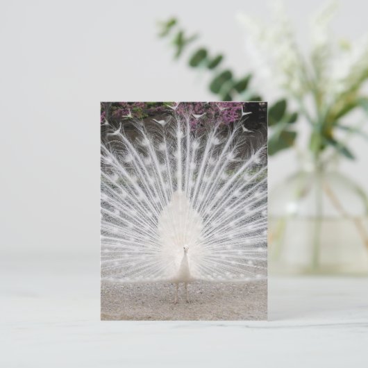 Kute  witte vrek dansende partij uitnodiging briefkaart (Staand voorkant)