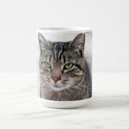 Kute, zoete, schattige katten Mok