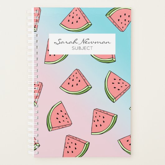 Kute zomerwatermeloenpatroonpastelroze en blauw planner (Voorkant)