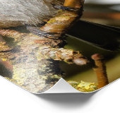 Kute zwarte kippen in de boom foto afdruk (Hoek)