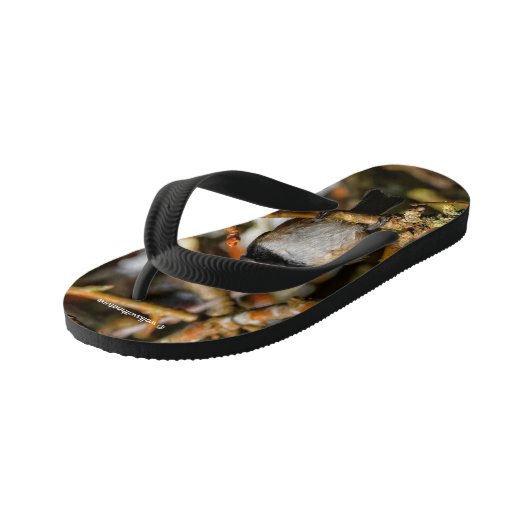 Kute zwarte kippen in de boom kinder teenslippers (Schuin)