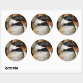 Kute zwarte kippen in de boom ronde sticker (Vel)