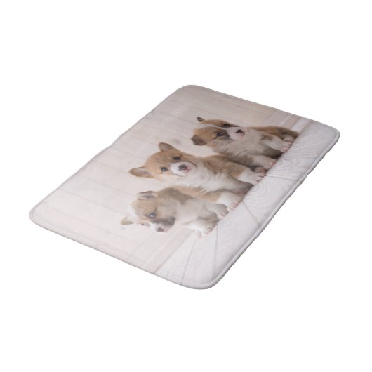 Kutest Baby Animals | 3 Baby Corgis Badmat (Gekanteld)