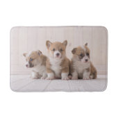 Kutest Baby Animals | 3 Baby Corgis Badmat (Voorkant)