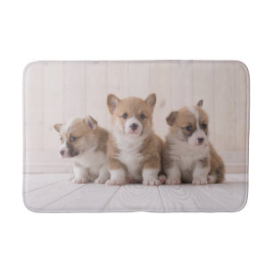 Kutest Baby Animals   3 Baby Corgis Badmat