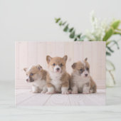 Kutest Baby Animals | 3 Baby Corgis Bedankkaart (Staand voorkant)