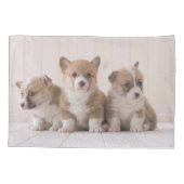 Kutest Baby Animals | 3 Baby Corgis Kussensloop (Achterkant)