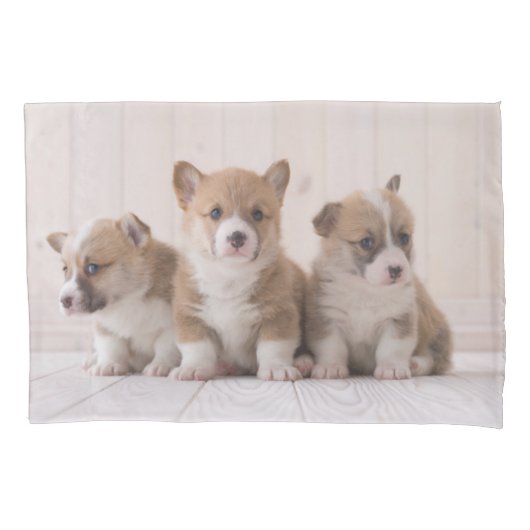 Kutest Baby Animals | 3 Baby Corgis Kussensloop (Voorkant)
