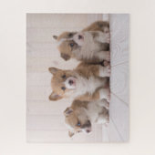 Kutest Baby Animals | 3 Baby Corgis Legpuzzel (Verticaal)