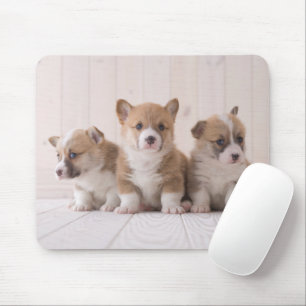 Kutest Baby Animals 3 Baby Corgis Muismat