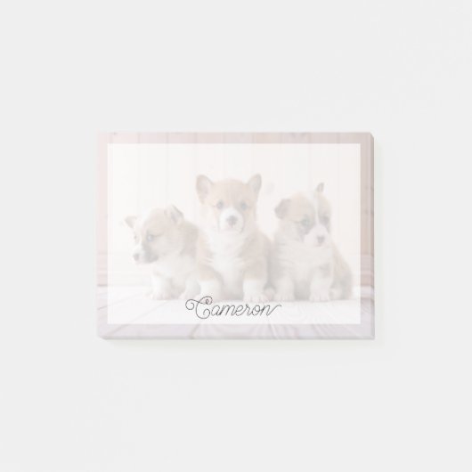 Kutest Baby Animals | 3 Baby Corgis Post-it® Notes (Voorkant)