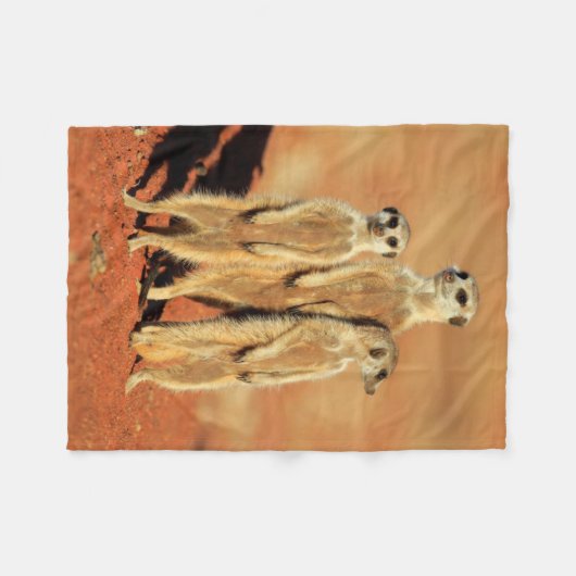 Kutest Baby Animals | 3 Meerkat Fleece Deken (Voorkant (Horizontaal))