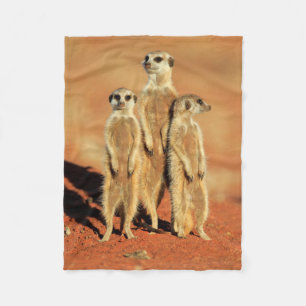 Kutest Baby Animals   3 Meerkat Fleece Deken