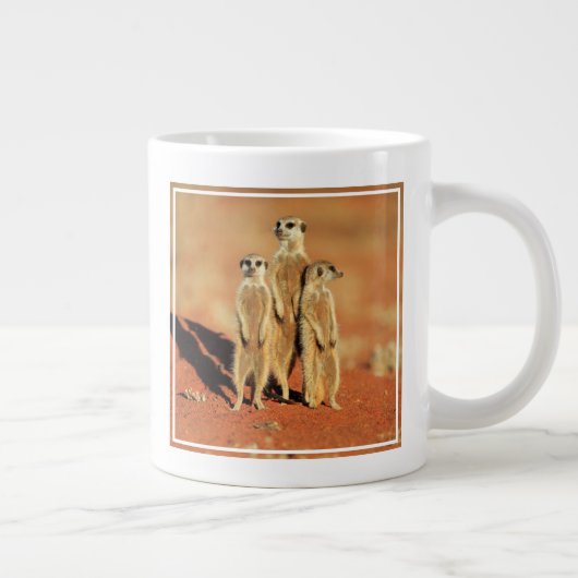 Kutest Baby Animals | 3 Meerkat Grote Koffiekop (Rechts)