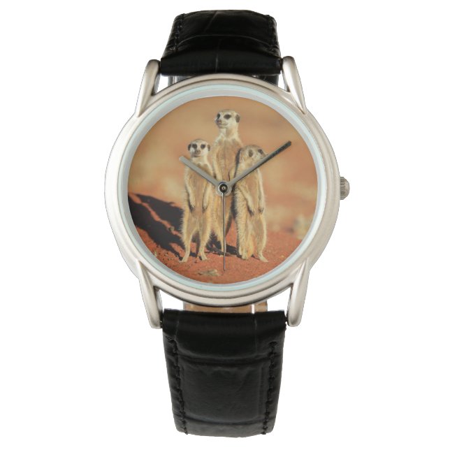 Kutest Baby Animals | 3 Meerkat Horloge (Voorkant)