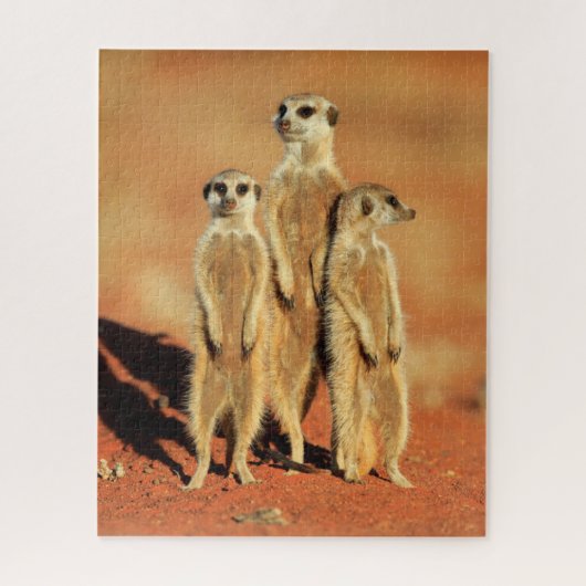 Kutest Baby Animals | 3 Meerkat Legpuzzel (Verticaal)