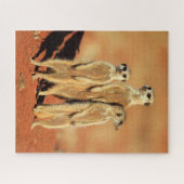 Kutest Baby Animals | 3 Meerkat Legpuzzel (Horizontaal)