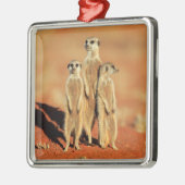 Kutest Baby Animals | 3 Meerkat Metalen Ornament (Links)