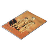 Kutest Baby Animals | 3 Meerkat Notitieboek (Linkerzijde)