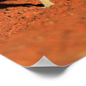 Kutest Baby Animals | 3 Meerkat Poster (Hoek)