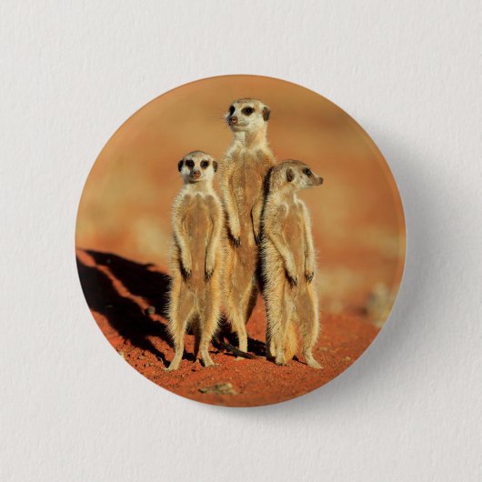 Kutest Baby Animals | 3 Meerkat Ronde Button 5,7 Cm (Voorkant)