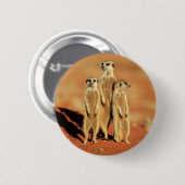 Kutest Baby Animals | 3 Meerkat Ronde Button 5,7 Cm (Voorkant /achterkant)