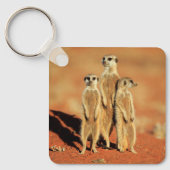 Kutest Baby Animals | 3 Meerkat Sleutelhanger (Voorkant)