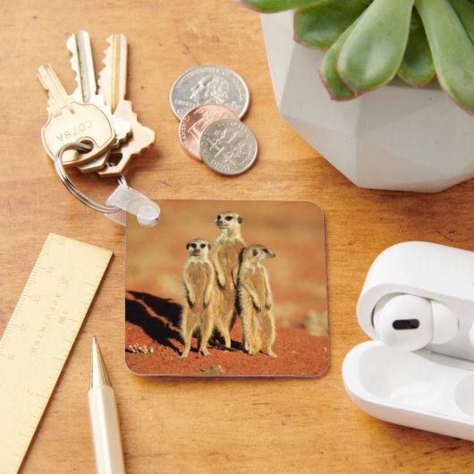 Kutest Baby Animals | 3 Meerkat Sleutelhanger (Bureau)